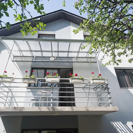 Sokodream 소코 반자